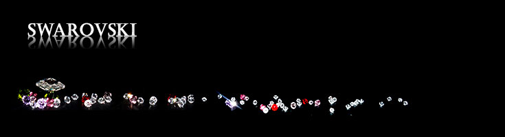 スワロフスキー/カフスボタン