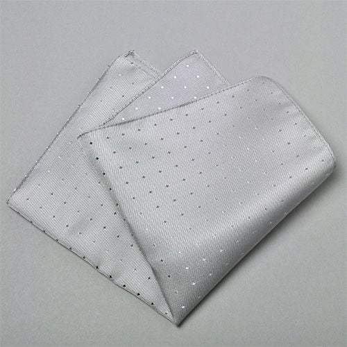 アスコットタイ・チーフセット NA-108-SILVER