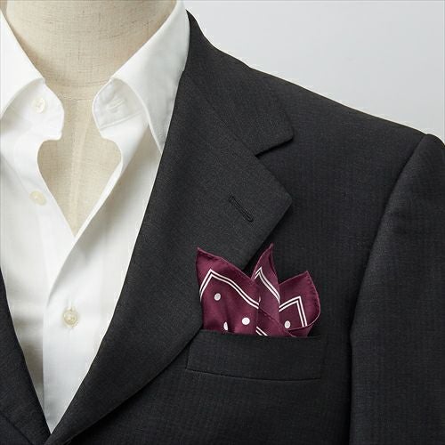 ポケットチーフ コーディネート1 CH-D-004-WINERED
