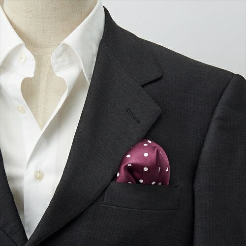 ポケットチーフ コーディネート2 CH-D-004-WINERED