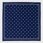ポケットチーフ 全体 CH-D-006-NAVYBLUE