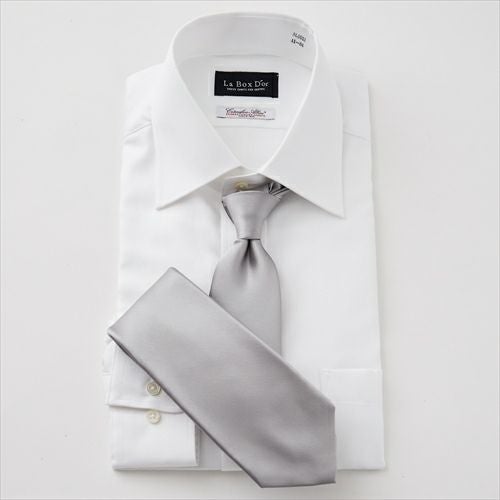 セッテピエゲ・ネクタイ  NP-028-SILVER-コーディネートイメージ