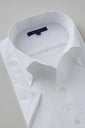 ワイシャツ 8051SSC-B04A-WHITE-衿1