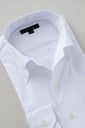 ワイシャツ 8051SD-C03B-WHITE-衿1
