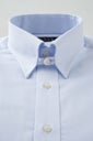 ワイシャツ 8089P-C11A-SAX-衿1